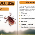 Os sintomas mais comuns da febre maculosa são febre, dor de cabeça intensa, náuseas, vômitos, diarreia, dor abdominal, dor muscular constante, inchaço e vermelhidão nas palmas das mãos e sola dos pés. (Foto: Divulgação)