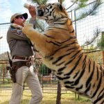 Conheça o mundo fascinante e sinistro da criação de grandes felinos e seus personagens excêntricos. (Foto: Divulgação)