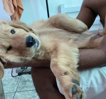 Ele chegou na família ainda bebê.(Foto: Instagram)