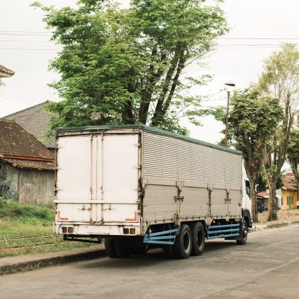 Mas não resistiu aos ferimentos. (Foto Instagram)