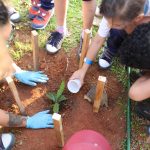 Museu Catavento: Este museu interativo é perfeito para crianças curiosas. Com exposições científicas e tecnológicas, proporciona aprendizado de forma divertida. (Foto: Divulgação)