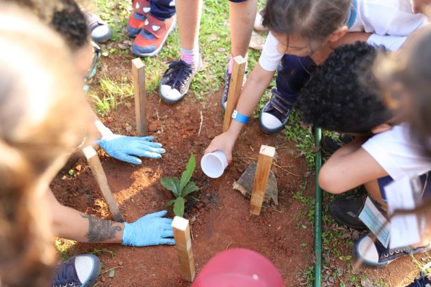 Museu Catavento: Este museu interativo é perfeito para crianças curiosas. Com exposições científicas e tecnológicas, proporciona aprendizado de forma divertida. (Foto: Divulgação)