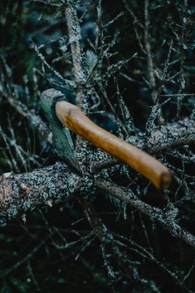 No local, a polícia também encontrou um machado ensanguentado, que possivelmente foi utilizado no crime. (Foto Pexels)