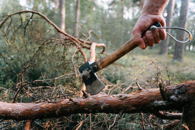 Segundo o boletim de ocorrência, os irmãos começaram a discutir após a vitima cobrar o valor que teria emprestado para o irmão. (Foto Pexels)