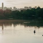 Parque Ibirapuera: Um clássico de São Paulo, o Parque Ibirapuera oferece vastas áreas verdes, playgrounds, lagos e até mesmo museus. É um local ideal para piqueniques e brincadeiras ao ar livre. (Foto: Unsplash)