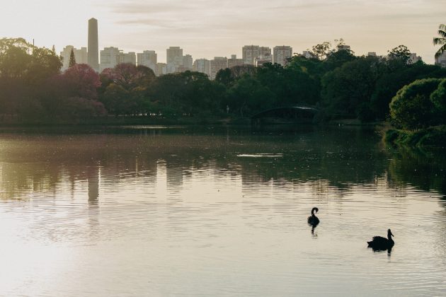 Parque Ibirapuera: Um clássico de São Paulo, o Parque Ibirapuera oferece vastas áreas verdes, playgrounds, lagos e até mesmo museus. É um local ideal para piqueniques e brincadeiras ao ar livre. (Foto: Unsplash)