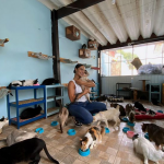 “Recebi essa foto por direct (que inclusive o ângulo está péssimo), contou (Foto: Instagram)