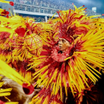 Fantasias da Grande Rio na Sapucaí. (Foto: Instagram)