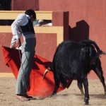 A tauromaquia em detalhe. (Foto: Instagram)