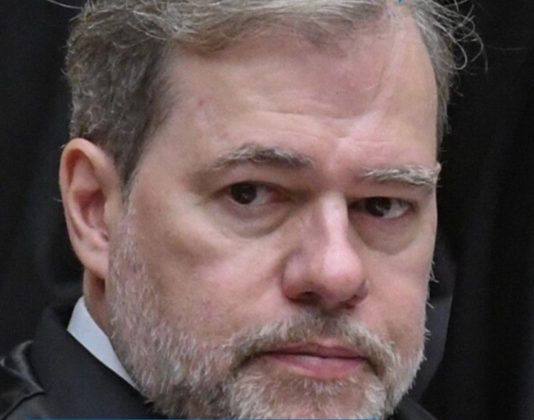 STF pede investigação de ONG. (Foto: Instagram)