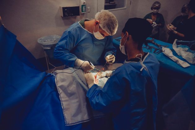 Médicos Sem Fronteiras diz que Israel matou familiares de médico durante ataque em Gaza. (Foto Pexels)