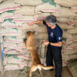 A carga de café ao todo, era composta por um total de 320 sacas. (Fonte: Instagram)