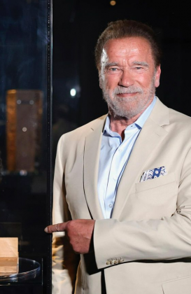 Schwarzenegger assegura estar se recuperando bem após a cirurgia. (Foto: Instagram)