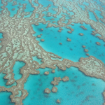 O maior sistema de recifes de coral do mundo (Foto: X)