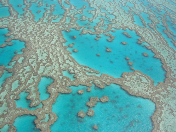 O maior sistema de recifes de coral do mundo (Foto: X)