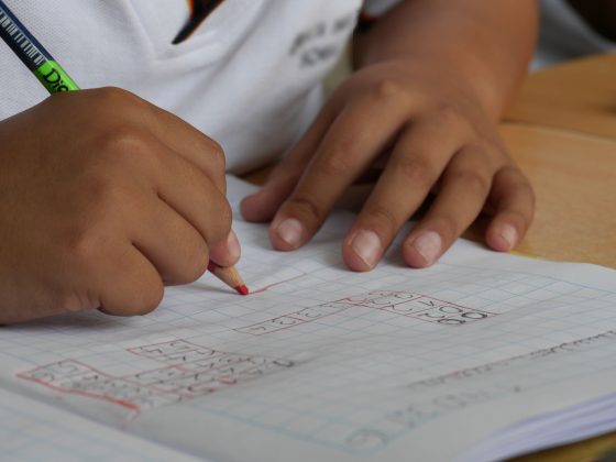 “Ela também tem extrema ansiedade de separação, pode machucar seus colegas sem motivo e, em geral, é uma pessoa muito difícil de se conviver”, relatou a mulher. (Foto Pexels)