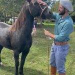 Matteus se emociona ao reencontrar seu cavalo: “Alegria que não cabe no peito” (Foto: Instagram)