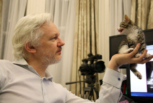 Assange admitiu obter e divulgar informações confidenciais ilegalmente. (Foto: Instagram)