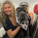 Latam aciona STF para não transportar cão na cabine do avião. (Foto: Instagram)