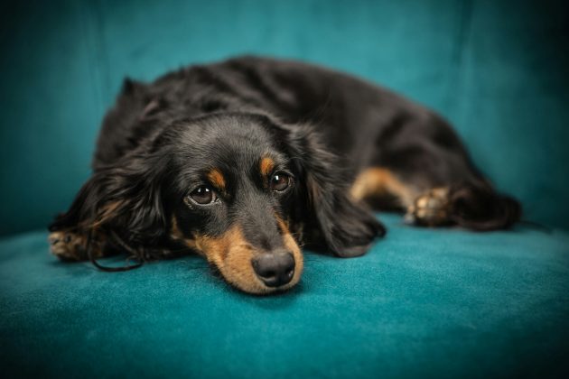 O juízo de primeiro grau indeferiu o pedido do homem, o que o levou a recorrer da decisão. (Foto Pexels)