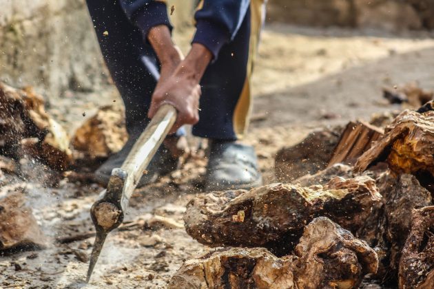 Seu filho, de 27 anos, a ameaçou com um machado e destruiu diversos equipamentos e utensílios domésticos.(Foto Pexels)