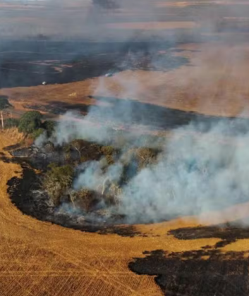 Alerta de queimadas: governo proíbe uso de fogo e decreta situação de emergência no Pará. (Foto: Divulgação)