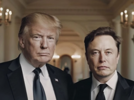 Trump anuncia Elon Musk no governo dos EUA. (Foto: Reprodução)