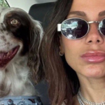 Anitta relata novo incidente com animal de estimação: "Esse cachorro acha que tem sete vidas" (Foto: Instagram)