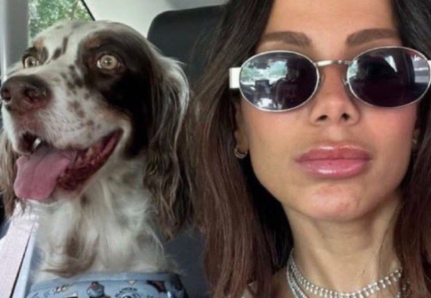 Anitta relata novo incidente com animal de estimação: "Esse cachorro acha que tem sete vidas" (Foto: Instagram)