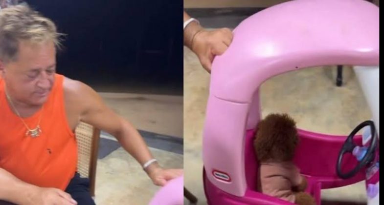 Poliana Rocha mostra Leonardo encantado com a cachorra de Bruna Marquezine (Foto: Instagram)