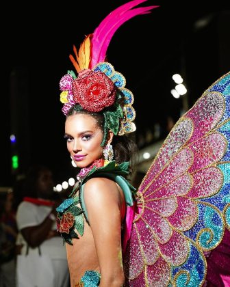 A musa da Grande Rio, Alane Dias, sofreu alguns ferimentos no bumbum durante o desfile da Escola de Samba. A ex-BBB procurou o médico e dermatologista (foto: Instagram)