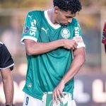 Caso gera revolta e indignação nas redes sociais. (Foto: Divulgação/Palmeiras)