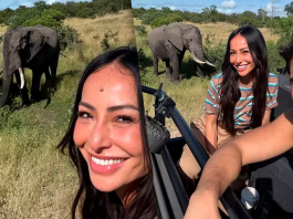 Nicolas Prattes e Sabrina Sato comemoram lua de mel com safári na África do Sul (Foto: Instagram)