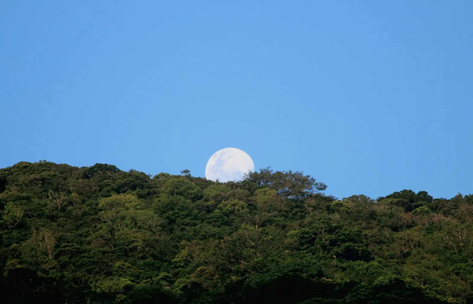 Astronautas da NASA encontraram os grãos alaranjados durante a primeira missão tripulada à Lua (Créditos: Unsplash / Nilantha Sanjeewa)