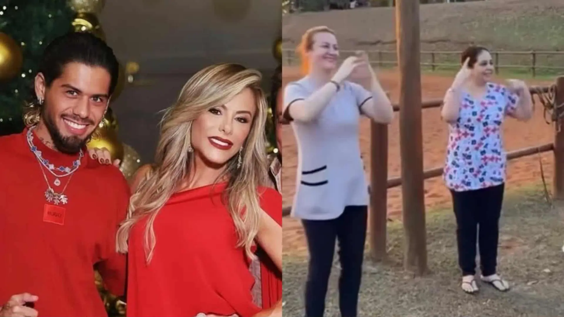 Poliana Rocha elogia babás dos netos após vídeo dançando música de Zé Felipe: “Fofas” (Foto: Instagram)