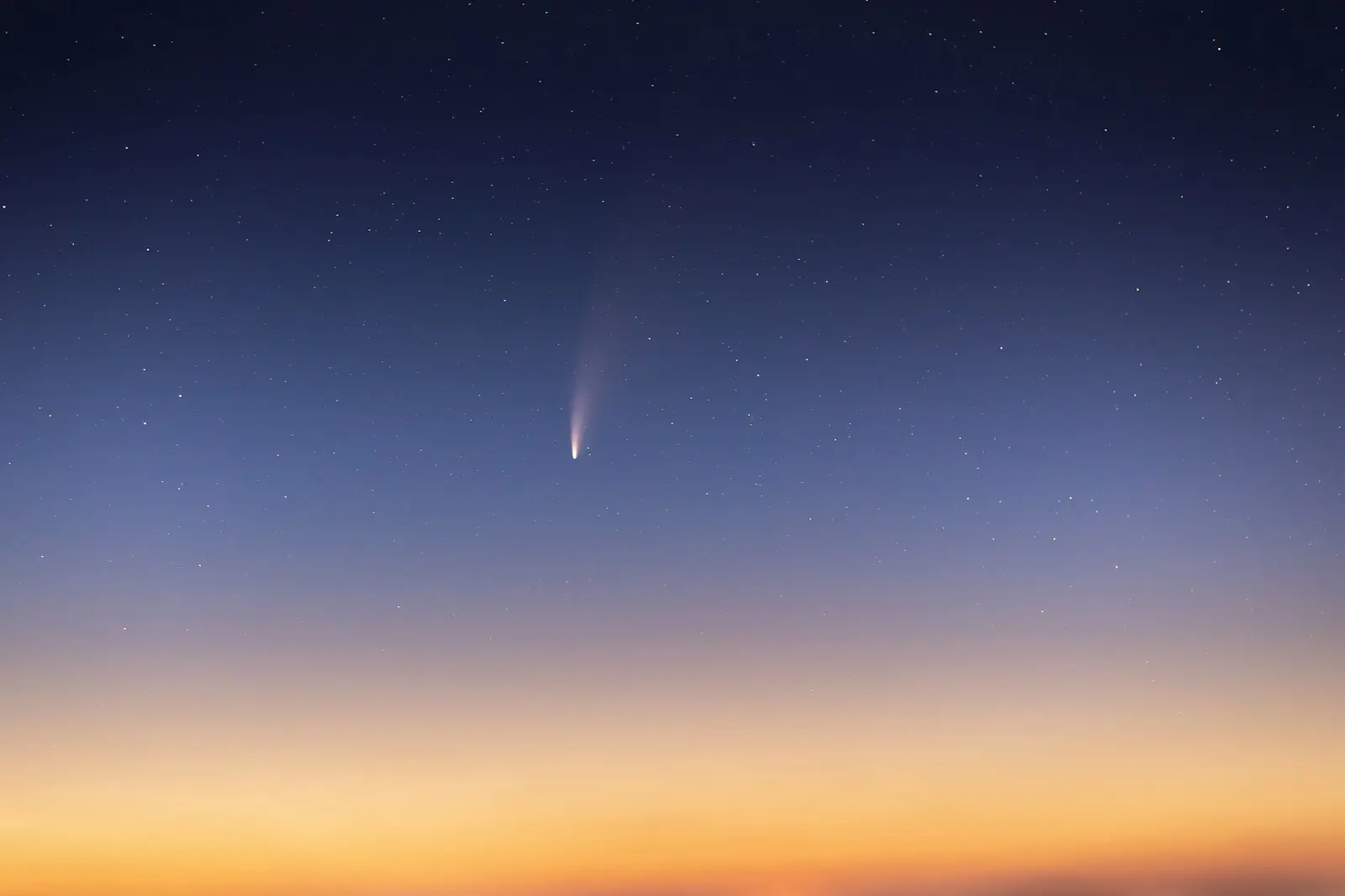 Astrônomos avaliando dados inéditos sobre a composição do cometa. (Créditos: Unsplash / Daniil Silantev)