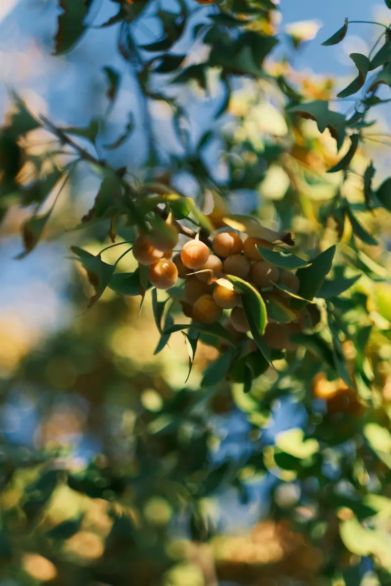 A exposição ao sol pode melhorar o bem-estar e reduzir o estresse (Créditos: Unsplash / May Cloud)