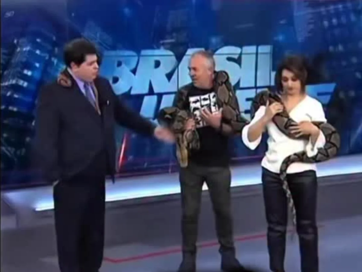 O dia em que uma cobra surpreendeu ao defecar ao vivo em um programa de TV O dia em que uma cobra surpreendeu ao defecar ao vivo em um programa de TV