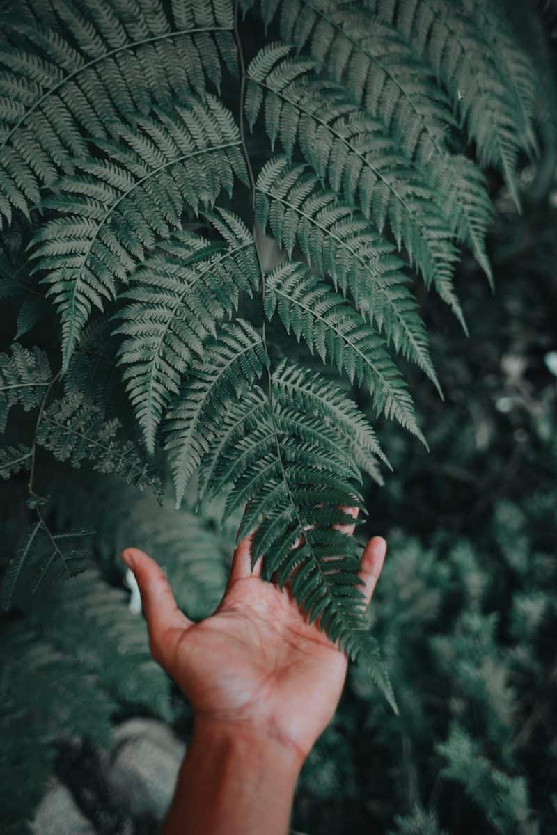 Pesquisas investigam a relação entre gratidão e saúde mental (Créditos: Unsplash / Marcos Paulo Prado)
