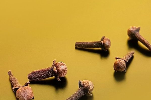 Cravo-da-índia pode surpreender: veja o que essa pequena especiaria pode fazer pelo organismo