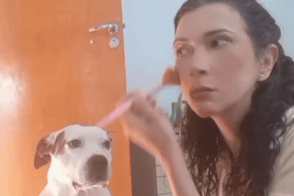 Cadela vaidosa rouba a cena ao pedir para ser maquiada