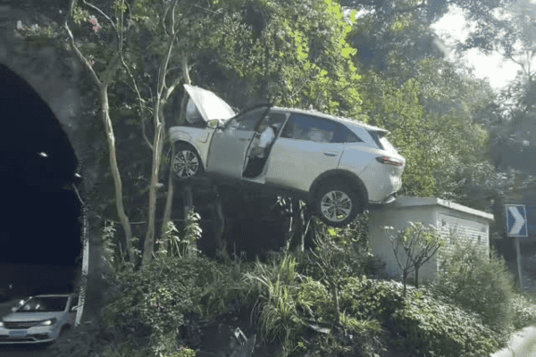 Carro vai parar em cima de árvore após acidente inusitado e vídeo viraliza