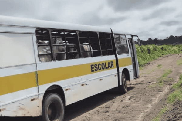 Pecuarista usa antigo ônibus escolar para transportar gado e vídeo viraliza nas redes sociais