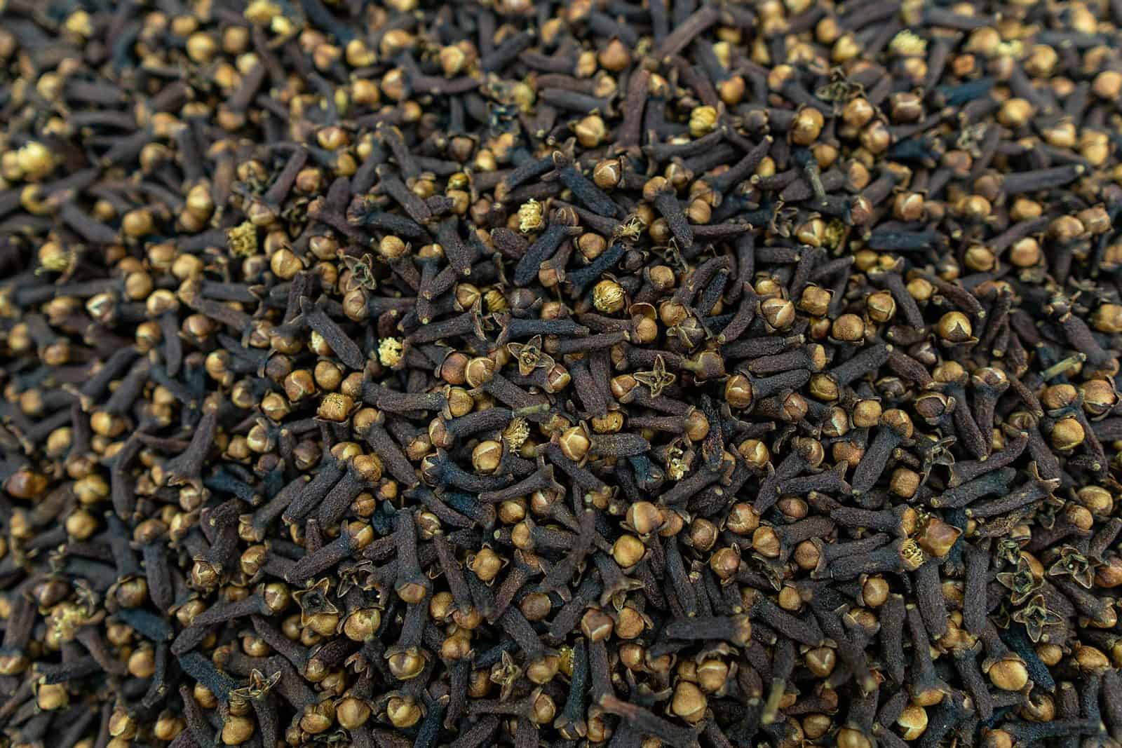 Cravo-da-índia pode ser utilizado em diferentes preparações alimentares (Créditos: Unsplash / Mo Farhan Badar)