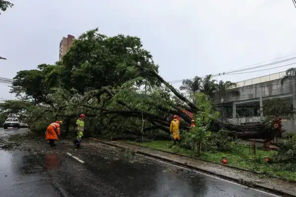 Minas Gerais recebe alerta amarelo por vendaval e ventos fortes