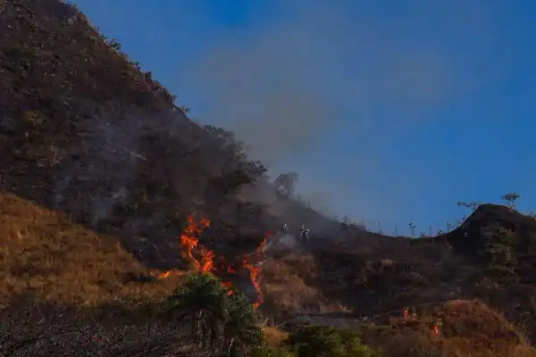 Corpo de Bombeiros atendeu 52 incêndios em vegetação na Grande BH em 24 horas
