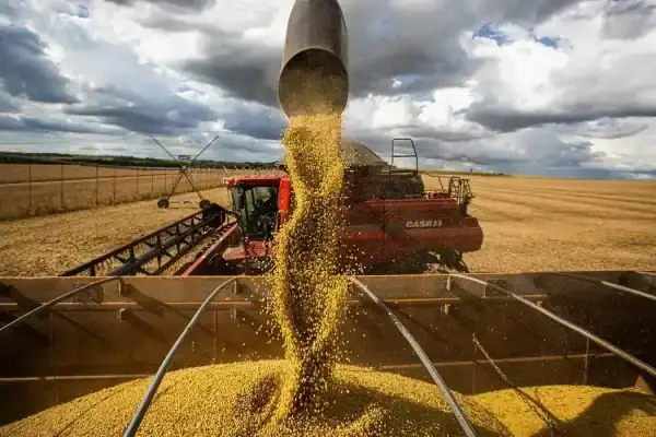 PIB do Peru cresce 2,6% no segundo trimestre de 2026 em comparação anual