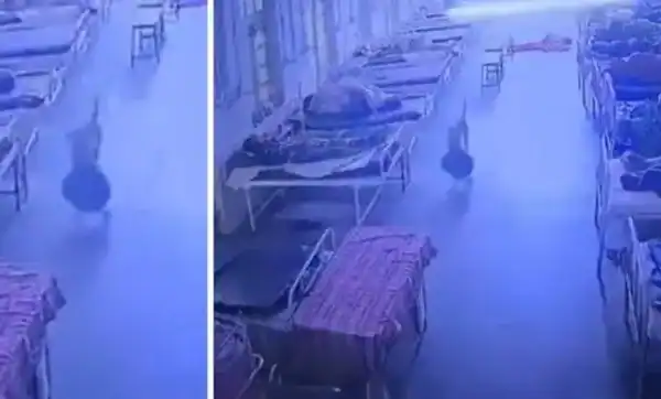 Cão rouba bolsa com joias avaliadas em R$ 21 mil dentro de hospital