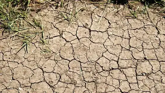Kocher destaca resiliência da economia europeia e alerta riscos à estabilidade de preços