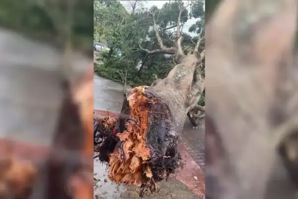 Brinquedo inflável é levado pelo vento de temporal em Apucarana e deixa duas crianças feridas